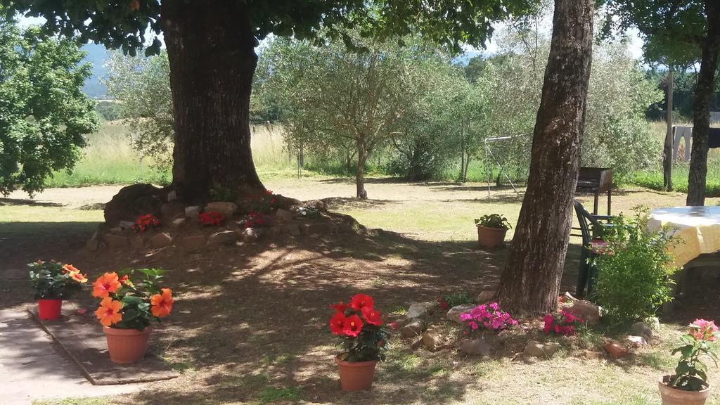 Azzurre Beb Bed & Breakfast Laterina Екстериор снимка